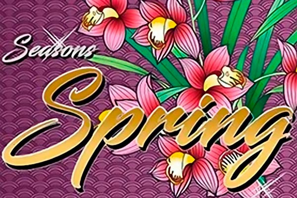 Знакомства